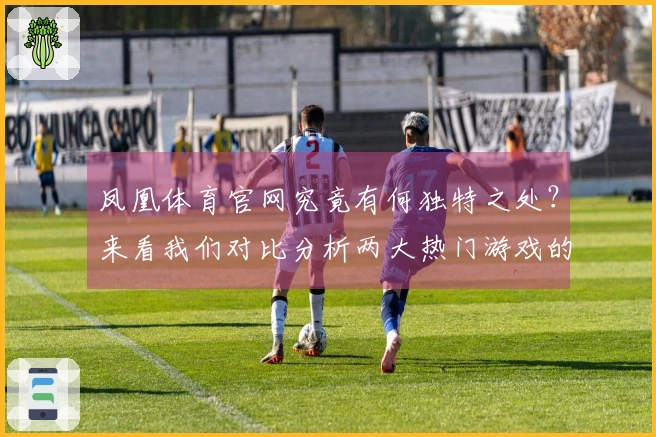 凤凰体育官网究竟有何独特之处？来看我们对比分析两大热门游戏的体验差异！