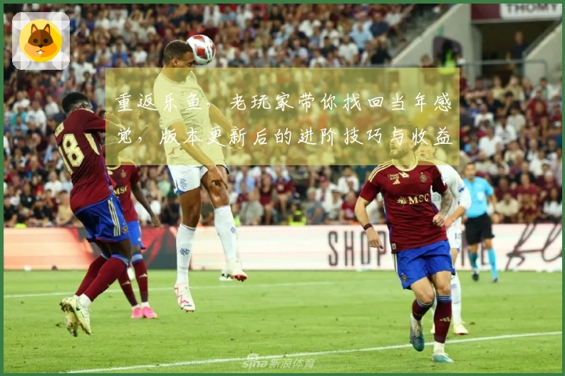 重返乐鱼，老玩家带你找回当年感觉，版本更新后的进阶技巧与收益全掌握