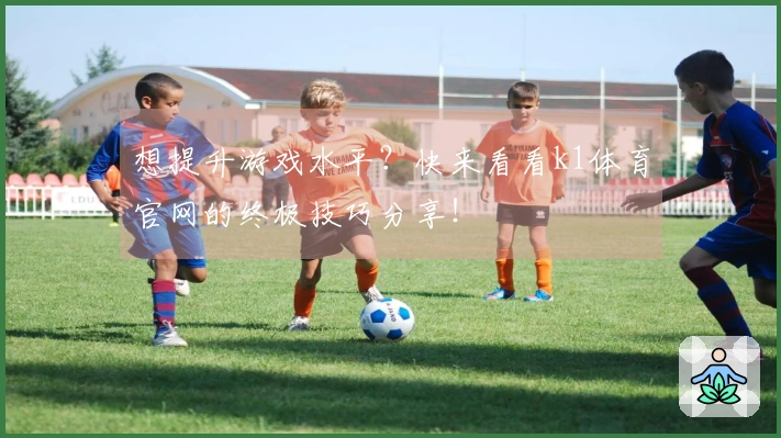 想提升游戏水平？快来看看k1体育官网的终极技巧分享！