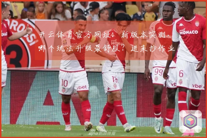 开云体育官方网址：新版本实测，哪个玩法升级最舒服？进来抄作业！